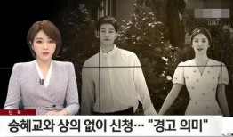 双宋离婚最新爆料,最新爆料揭秘婚姻裂痕