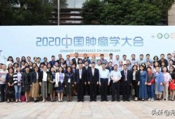 爆料河南抗癌案件最新,揭开医疗乱象背后的真相