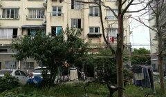 闵行丽园小区爆料事件最新,业主维权事件持续发酵，真相揭开引关注