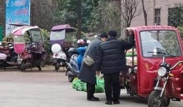 青县爆料最新消息新闻网,最新消息全网热议，揭秘事件真相！