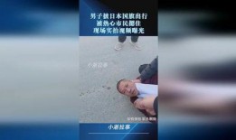 热心爆料视频大全最新,热心爆料大全，精彩瞬间一网打尽！